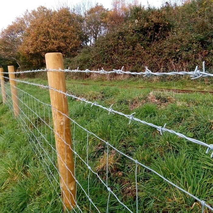 Barbed Wire Fence 1